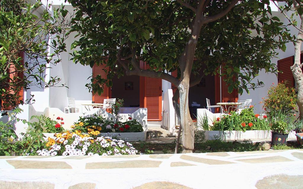 Helios Serifos Livadi  Екстер'єр фото